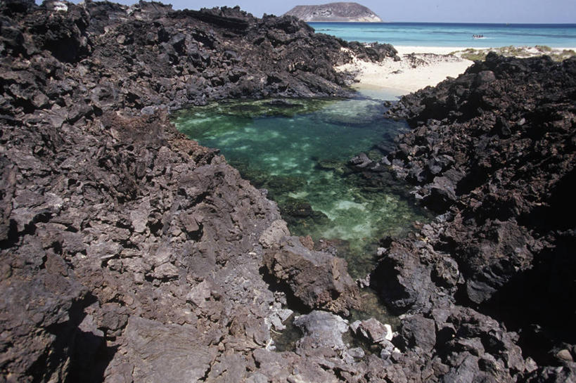 无人,体育馆,游泳池,运动场,横图,室外,白天,时尚,海洋,水,也门,亚洲,海岸线,体育场,风景,自然,t台,摄影,环境,岩层,火山岩,运动馆,红海,时装表演,时装秀,t型台,走秀,自然地理,阿拉伯,岩石,彩图,潮水坑