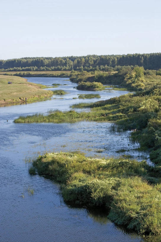 无人,竖图,室外,白天,旅游,度假,河流,美景,森林,俄罗斯,地平线,地形,景观,流水,辽阔,地面,娱乐,树,风景,自然,享受,休闲,广阔,景色,放松,摄影,宁静,一望无际,环境,自然风光,延伸,天地相交,无边无际,一马平川,自然地理,彩图,苏兹达尔