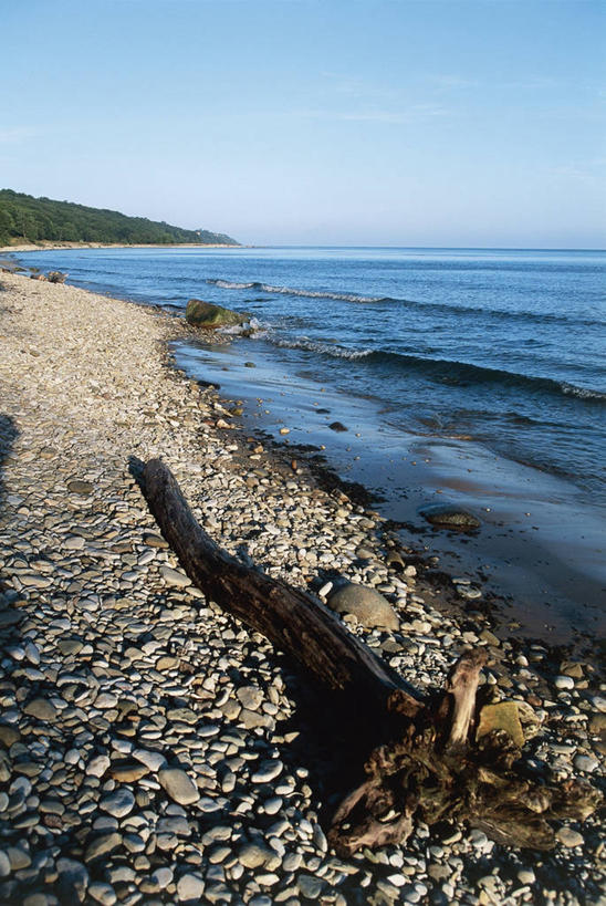 无人,竖图,室外,白天,海浪,海洋,水,爱沙尼亚,地平线,海岸线,水平线,自然,鹅卵石,摄影,环境,圆木,波罗的海,自然地理,海滩,岩石,彩图,旅行,波罗的海三国