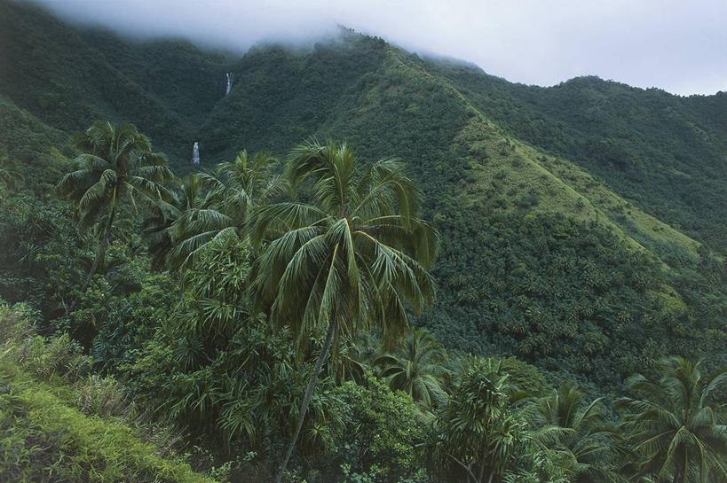 无人,横图,俯视,室外,白天,旅游,度假,美景,森林,棕榈树,岛,地形,景观,云,娱乐,树,风景,天空,自然,享受,休闲,景色,放松,摄影,环境,气候,热带气候,自然风光,大洋洲,法属波利尼西亚,法属玻利尼西亚,马克萨斯群岛,自然地理,彩图,高角度拍摄,旅行,法国海外领土