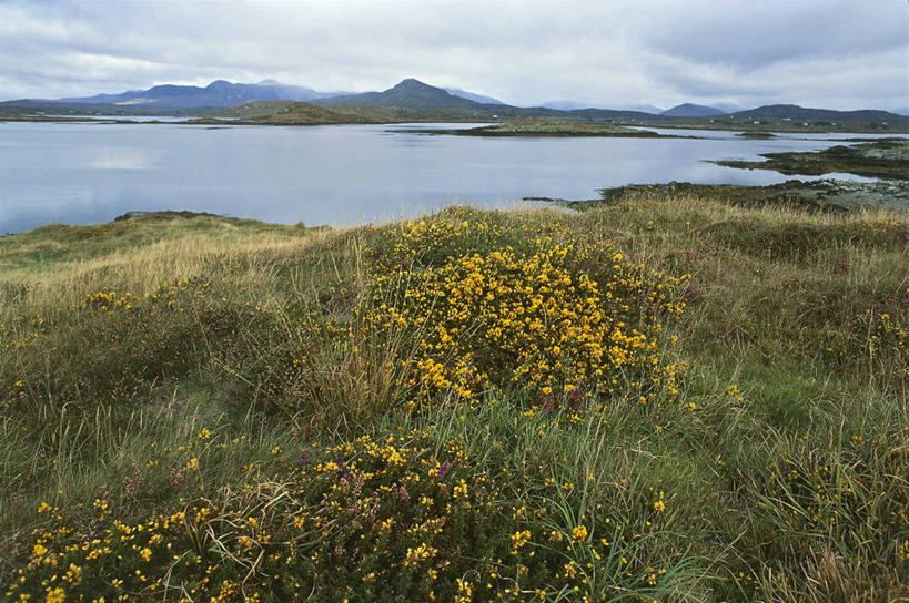 无人,横图,室外,白天,旅游,度假,海洋,美景,山,水,多云,爱尔兰,地平线,海岸线,景观,辽阔,地面,海湾,娱乐,草,花,风景,天空,自然,享受,休闲,广阔,景色,放松,摄影,一望无际,环境,自然风光,北欧,延伸,爱尔兰共和国,天地相交,康诺特省,无边无际,一马平川,自然地理,彩图,旅行,高维郡