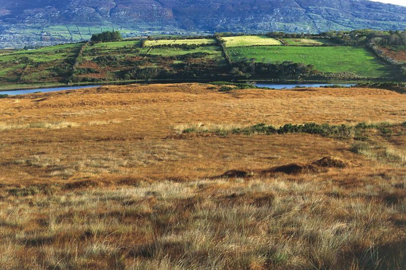 无人,横图,室外,白天,旅游,度假,农业,河流,美景,水,爱尔兰,景观,流水,田地,娱乐,风景,自然,享受,休闲,景色,放松,摄影,自然风光,北欧,爱尔兰共和国,康诺特省,自然地理,彩图