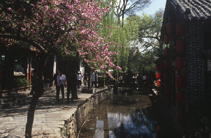 横图,室外,白天,城市,建筑,街道,丽江,反射,流水,古城,历史,花,花朵,树,春天,摄影,运河,中国文化,东亚文化,云南省,彩图,旅行