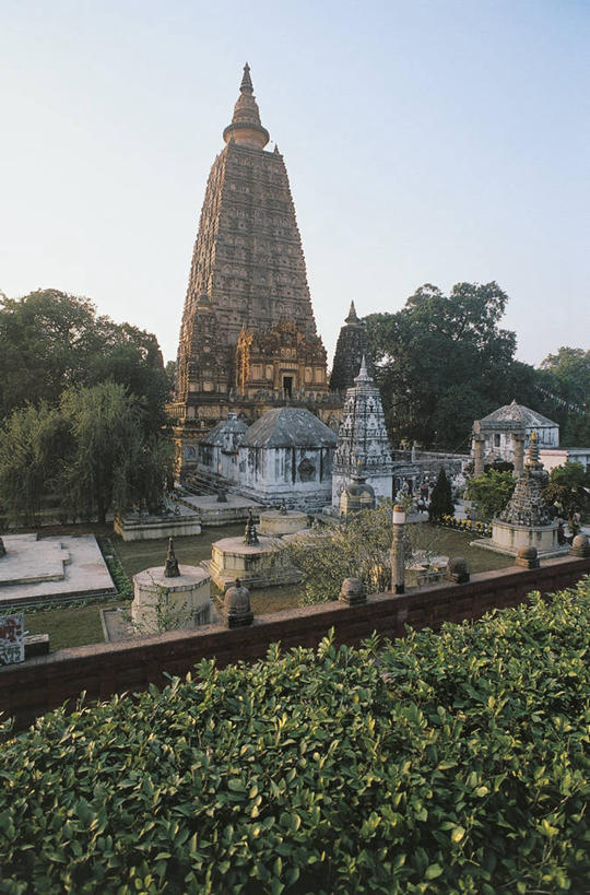 无人,寺庙,竖图,室外,白天,植物,建筑,印度,历史,佛塔,地标建筑,摄影,宗教,佛教,园林,印度文化,比哈尔,印度次大陆,彩图