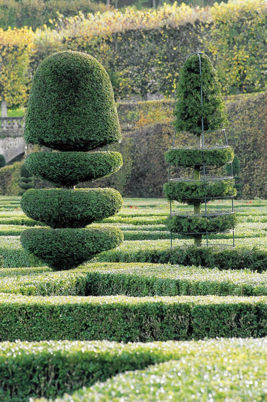 无人,竖图,室外,白天,法国,树,地标建筑,摄影,园林,灌木,法国文化,中欧,卢瓦尔河谷,维朗德里城堡,树篱,彩图,旅行