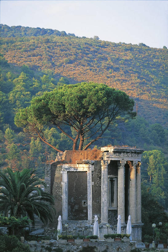 无人,竖图,室外,建筑,意大利,神话,柱子,历史,古罗马,废墟,树,摄影,红球甘蓝,考古学,女神,拉奇奥,彩图,过去