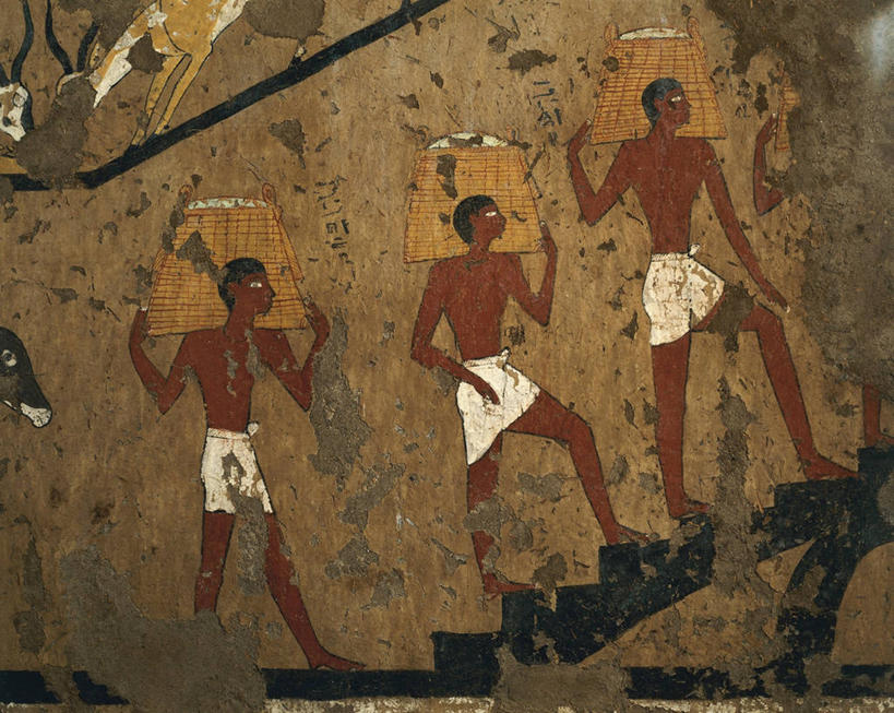 成年人,三个人,农民,横图,农业,羚羊,篮子,谷类,古代,职业,摄影,收获,运送,驴子,古代文明,美术工艺,彩图