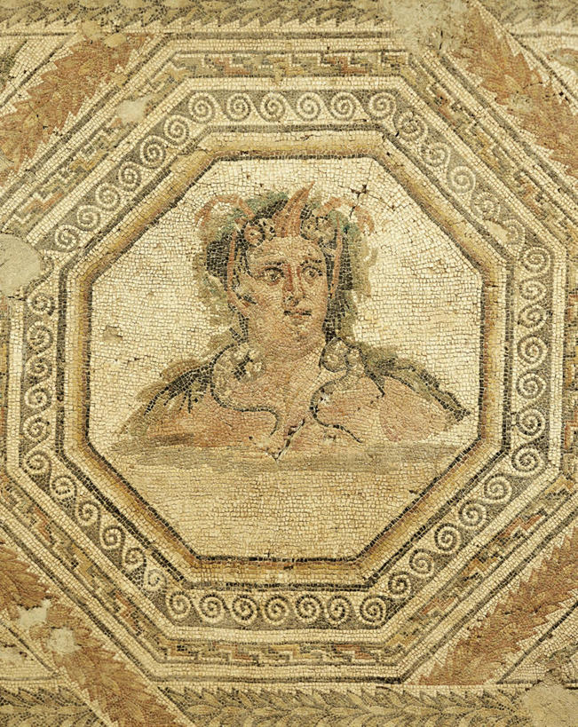 无人,竖图,俯视,室内,特写,地板,花纹,图案,古罗马,古代,摄影,古代文明,式样,美术工艺,彩图,高角度拍摄