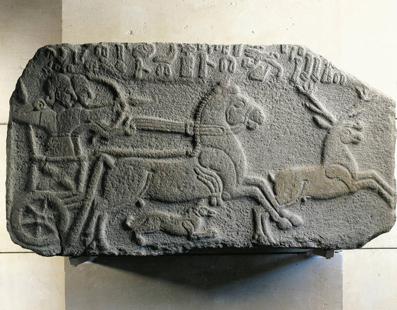 无人,横图,鹿,马,追赶,捕食,弓箭,古代,摄影,战车,安纳托利亚,古代文明,彩图,影棚拍摄,浅浮雕