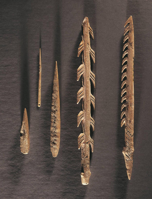 无人,博物馆,竖图,俯视,室内,法国,一排,灰色背景,整齐,并排,骨头,排列,灰色,摄影,鱼叉,考古学,队列,古代文明,史前时代,彩图,高角度拍摄,石器时代