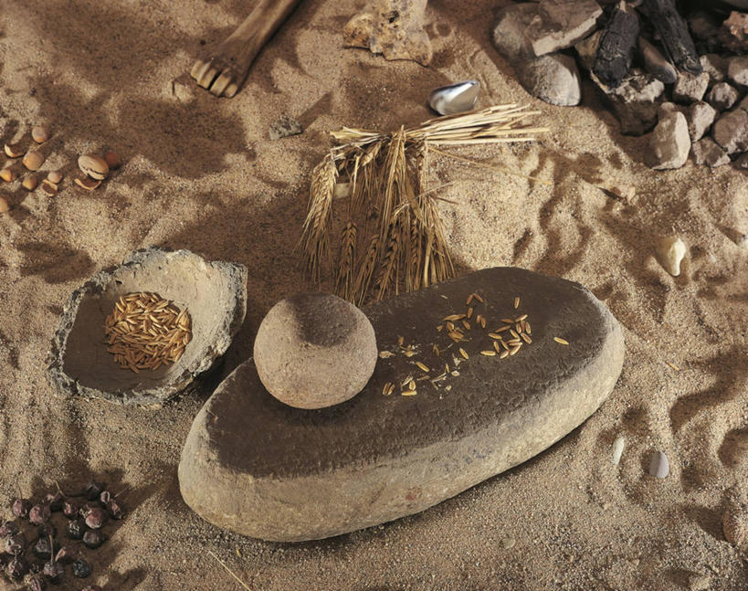 无人,博物馆,横图,俯视,室内,特写,小麦,瑞典,沙子,首都,探索,摄影,考古学,研磨器,榛子,古代文明,重建,史前时代,彩图,高角度拍摄,石器时代