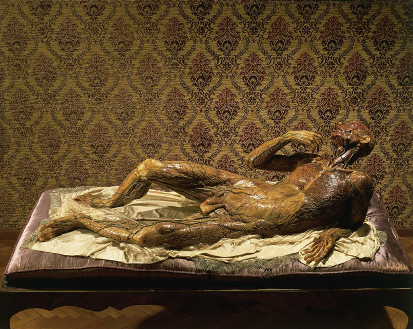 无人,躺,横图,室内,白天,壁纸,雕塑,艺术,标志,雕像,符号,历史,标识,古代,一个,模型,摄影,单个,蜡,解剖,手艺,性别符号,人体结构,美术工艺,彩图,男性符号,剖解