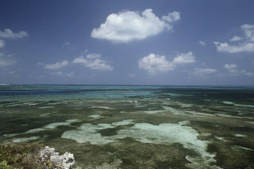 无人,横图,室外,白天,旅游,度假,海洋,美景,地形,景观,水平线,云,娱乐,风景,天空,自然,享受,休闲,景色,放松,摄影,宁静,自然风光,自然地理,彩图,巴哈马群岛,大特克