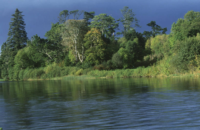 无人,横图,室外,白天,湖,森林,芦苇,爱尔兰,欧洲,丰富,反射,地形,绿色,风景,摄影,生长,宁静,运河,西欧,爱尔兰共和国,康诺特省,梅奥郡,彩图