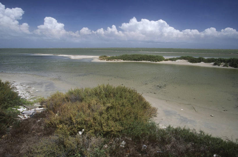 无人,横图,室外,白天,旅游,度假,海洋,美景,水,植物,委内瑞拉,沙子,海岸线,景观,水平线,云,娱乐,风景,自然,享受,休闲,景色,放松,摄影,灌木,宁静,自然风光,潟湖,法尔孔州,彩图