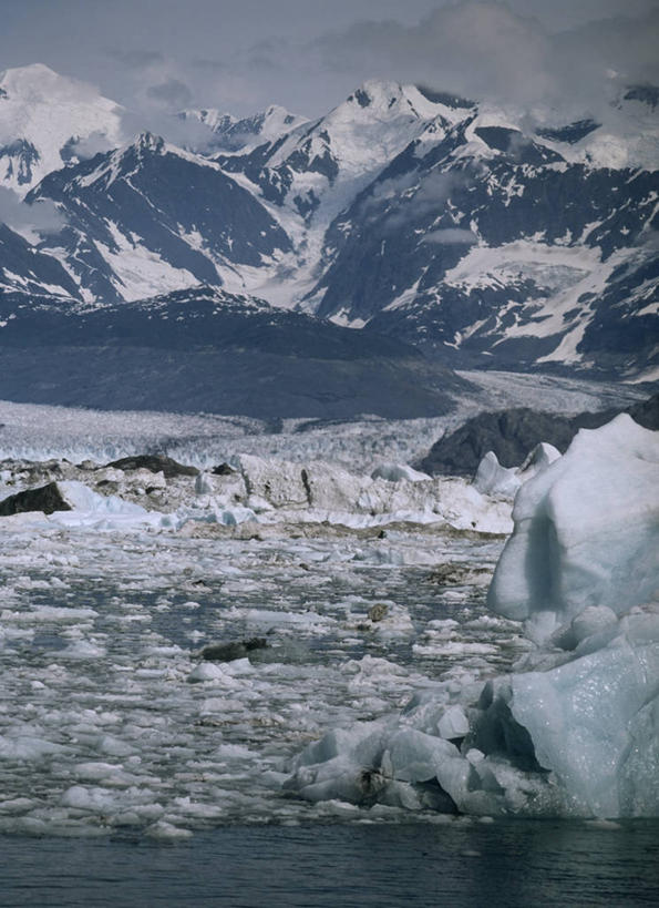 无人,公园,竖图,室外,白天,旅游,度假,冰山,美景,山,山脉,水,雪,雪山,美国,漂浮,地形,景观,山顶,冬天,娱乐,风景,自然,享受,休闲,景色,放松,寒冷,摄影,宁静,北美,北美洲,国家公园,自然风光,美洲,冰河,阿拉斯加,阿拉斯加州,北亚美利加洲,亚美利加洲,最后的边疆,午夜阳光之地,基奈峡湾国家公园,基奈半岛,苏厄德,自然地理,彩图,美利坚合众国
