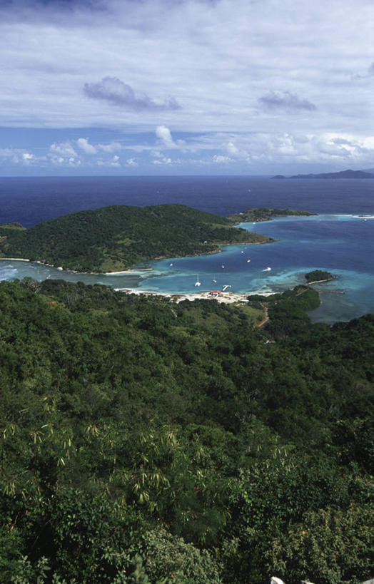 无人,竖图,俯视,室外,白天,度假,海洋,岛,海岸线,水平线,风景,茂密,摄影,茂盛,宁静,气候,热带气候,英属维京群岛,约斯特范代克岛,海滩,彩图,高角度拍摄