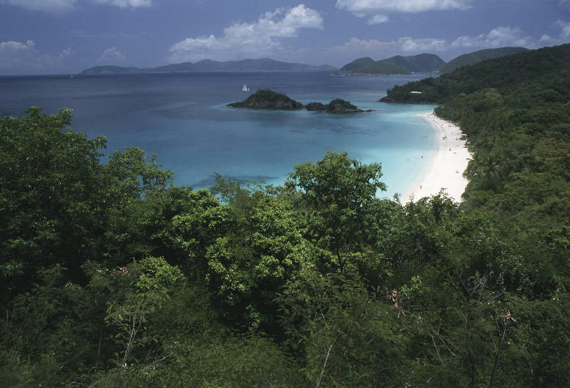 无人,横图,俯视,室外,白天,海洋,森林,加勒比海,地平线,海岸线,海湾,南美,摄影,宁静,南美洲,气候,热带气候,国家公园,拉丁美洲,美洲,维京群岛,亚美利加洲,南亚美利加洲,处女群岛,维尔京群岛,彩图,高角度拍摄,圣约翰