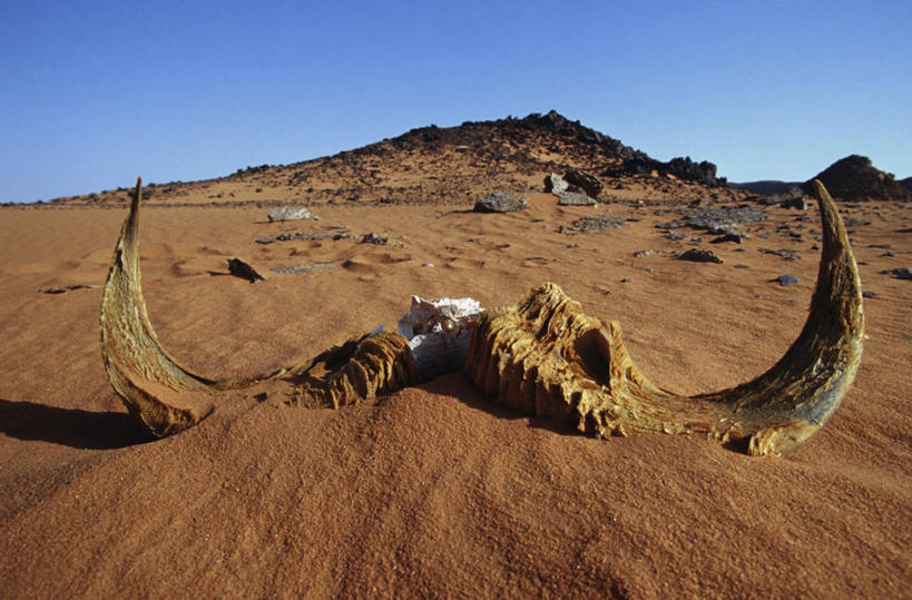 无人,横图,室外,白天,旅游,度假,石头,美景,沙漠,山,埃及,沙子,地形,景观,娱乐,风景,自然,享受,休闲,橙色,景色,放松,摄影,宁静,中东,自然风光,鹿角,野地,地质学,自然地理,岩石,彩图,利比亚沙漠