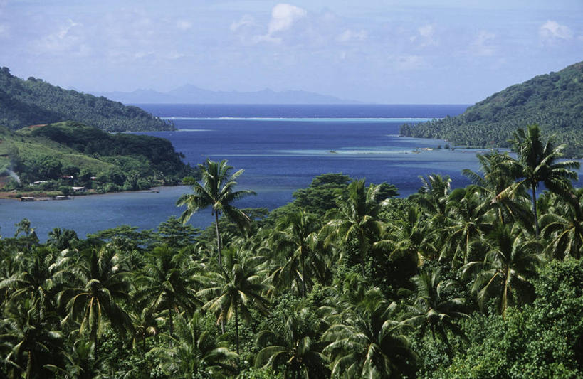 无人,横图,俯视,室外,白天,旅游,度假,美景,森林,水,棕榈树,岛,地形,海岸线,景观,海湾,娱乐,风景,自然,享受,休闲,景色,放松,摄影,宁静,热带气候,自然风光,大洋洲,野地,法属玻利尼西亚,自然地理,彩图,高角度拍摄,塔哈岛,法国海外领土