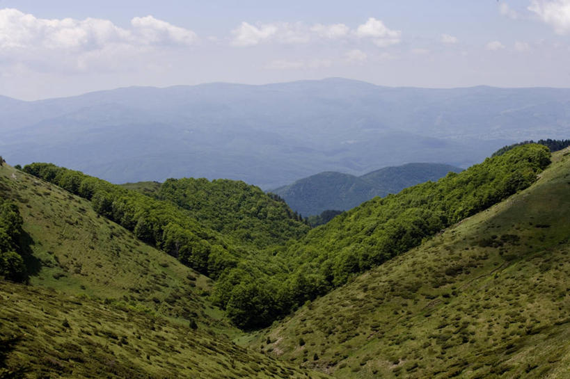 无人,横图,室外,白天,山脉,保加利亚,地平线,地形,辽阔,地面,山谷,风景,广阔,茂密,摄影,茂盛,灌木,一望无际,延伸,天地相交,无边无际,一马平川,彩图,旅行