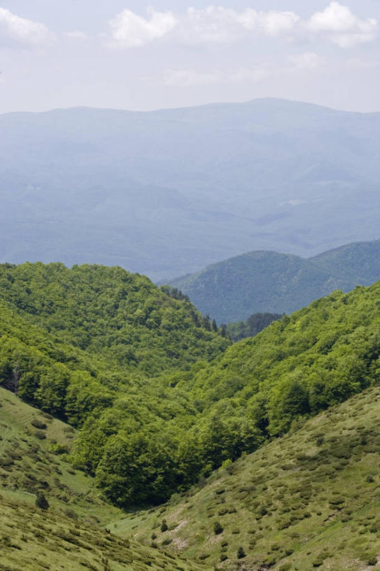 无人,竖图,室外,白天,山脉,保加利亚,地平线,地形,辽阔,地面,山谷,风景,广阔,茂密,摄影,茂盛,灌木,一望无际,延伸,天地相交,无边无际,一马平川,彩图,旅行