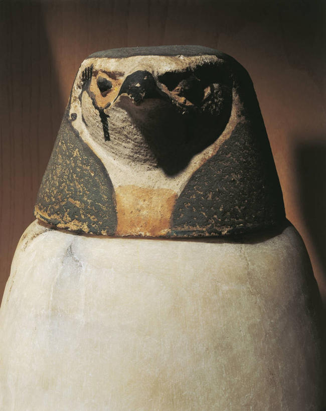 无人,竖图,特写,雕塑,鸟类,陶瓷制品,历史,古代,一个,摄影,宗教,褐色背景,单个,保护,猎鹰,广口瓶,古埃及文明,古代文明,美术工艺,彩图,影棚拍摄,过去