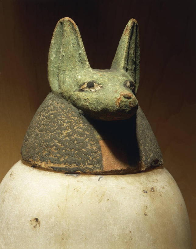 无人,竖图,特写,哺乳动物,野生动物,雕塑,陶瓷制品,历史,古代,一个,动物,摄影,宗教,褐色背景,单个,保护,豺,广口瓶,古埃及文明,古代文明,美术工艺,彩图,影棚拍摄,过去