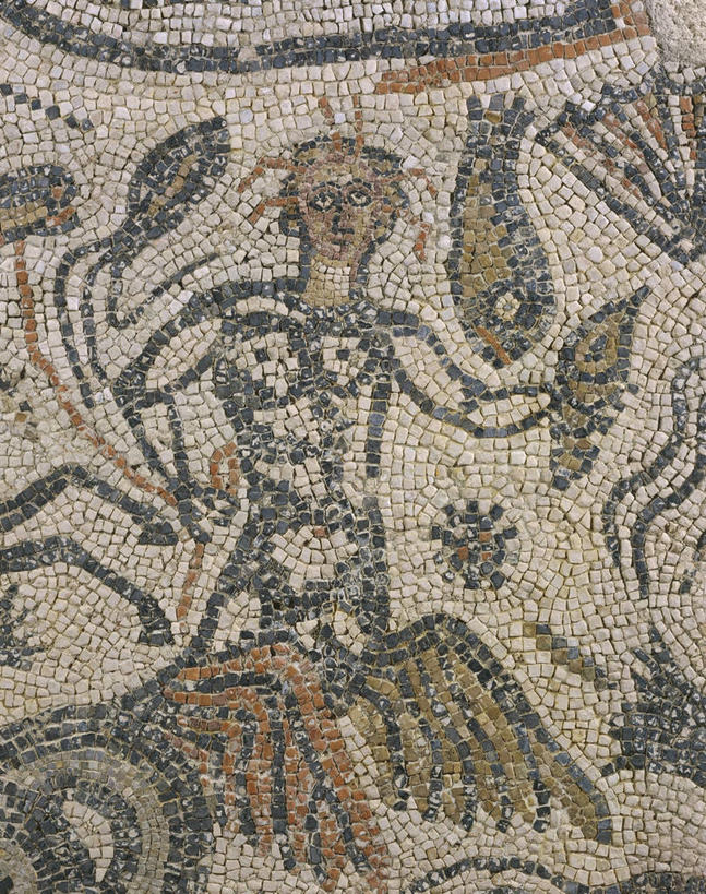 成年人,一个人,竖图,室内,仅一个男性,花纹,神话,图案,鱼类,古罗马,古代,摄影,美术工艺,彩图