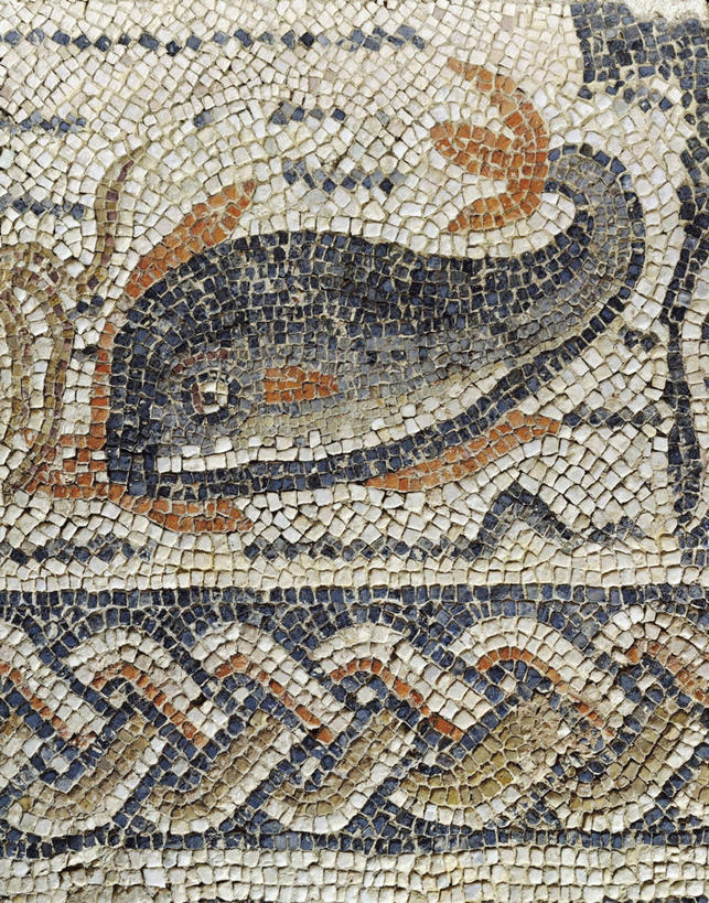 无人,竖图,室内,花纹,图案,鱼类,古罗马,古代,摄影,美术工艺,彩图