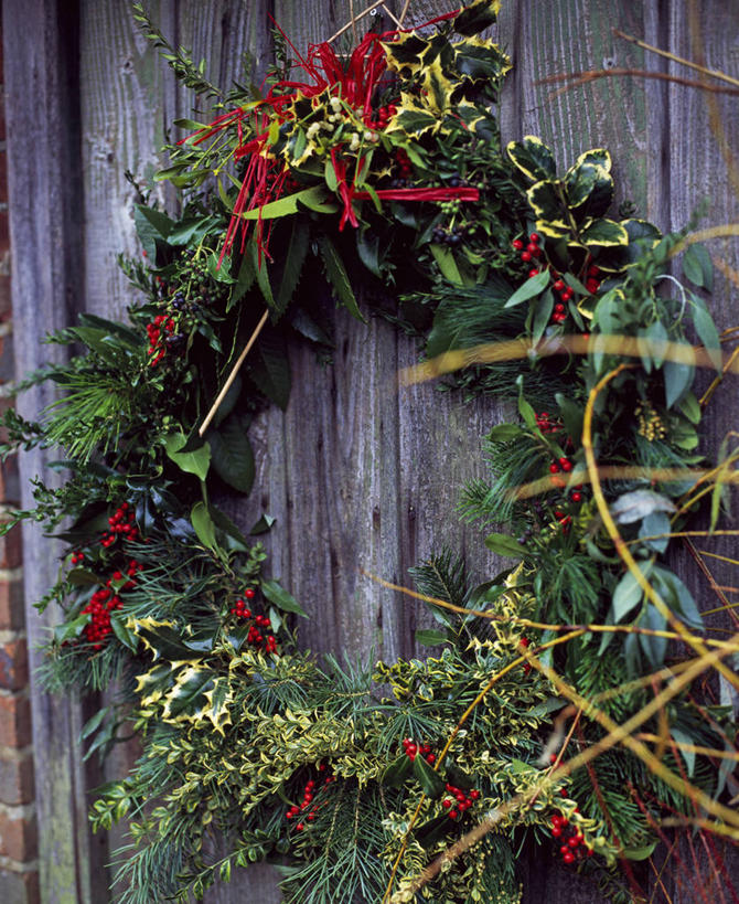 无人,竖图,室外,特写,白天,美景,植物,门,浆果,静物,叶子,英国,圣诞节,吊挂,悬挂,节日,庆祝,装饰,花环,景观,圣诞树,雪松,挂,文化,英格兰,盒子,装饰品,冬青树,树,红色,绿色,自然,装饰物,庆典,景色,摄影,纪念,华丽,修饰,点缀,自然风光,饰物,常绿树,衬托,美观,雅致,雅观,紫杉,黄杨木,彩图