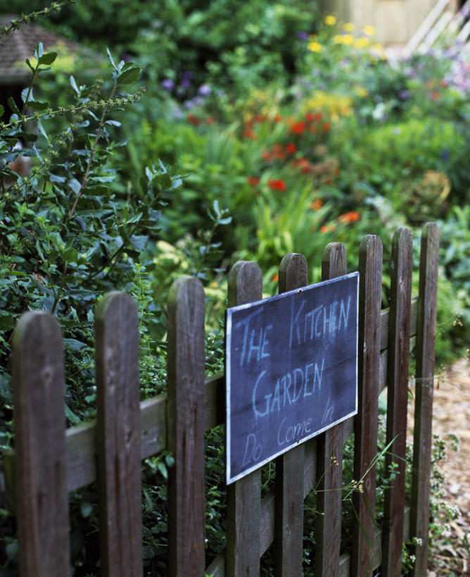 无人,竖图,室外,白天,美景,植物,英国,木制,标志,木材,大门,庭院,景观,英格兰,自然,景色,摄影,自然风光,边界,忠告,彩图,对焦