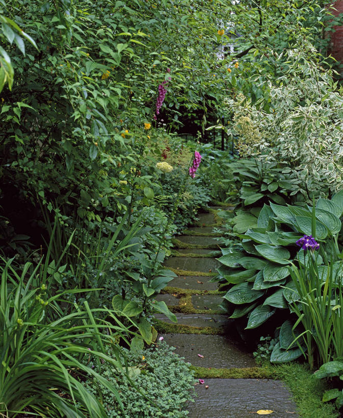 无人,竖图,室外,白天,美景,植物,英国,花坛,景观,小路,树荫,英格兰,花,自然,夏天,景色,摄影,多样,毛地黄,鸢尾,自然风光,彩图,多年生植物,花园路