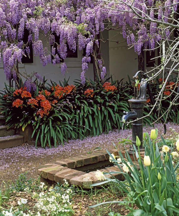 无人,攀登,竖图,室外,白天,美景,植物,郁金香,蔬菜,英国,新鲜,花坛,庭院,池塘,景观,食品,紫藤,英格兰,花,食物,自然,春天,景色,摄影,有机食品,绿色食品,多样,灌木,水泵,自然风光,彩图,多年生植物