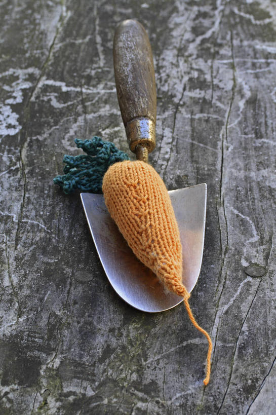 无人,竖图,特写,白天,留白,胡萝卜,蔬菜,静物,英国,编织,园艺,英格兰,橙色,摄影,羊毛,泥刀,想法,彩图,对焦