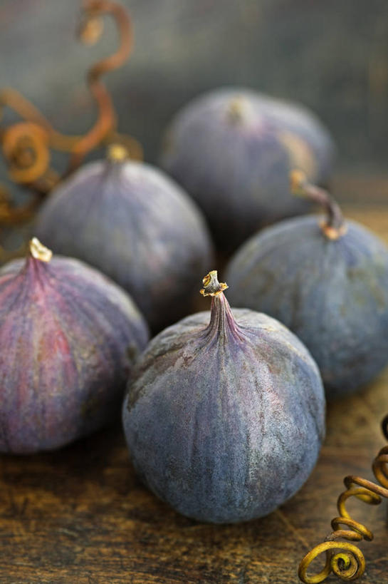 无人,竖图,室内,特写,白天,农业,农作物,美景,植物,静物,水果,英国,景观,食品,饮食,英格兰,紫色,自然,景色,摄影,自然风光,选择,无花果树,彩图