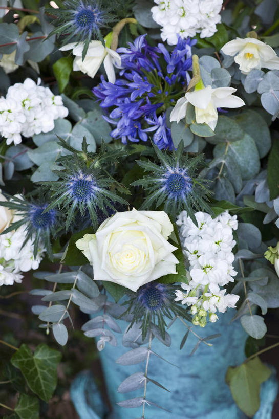 无人,竖图,特写,美景,植物,玫瑰,水仙花,静物,花瓶,景观,花,花瓣,蓝色,白色,自然,花束,景色,摄影,非洲百合,自然风光,彩图,全画面,全框架,全帧,影棚拍摄,全画幅