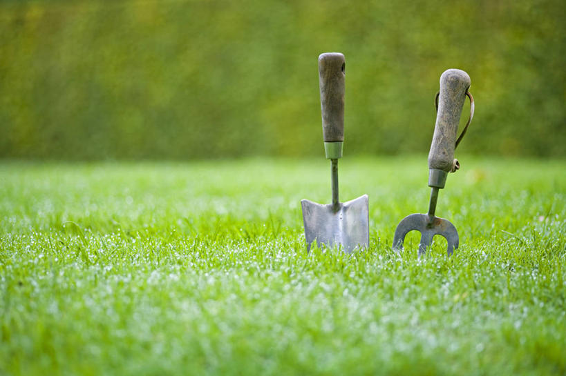 无人,横图,室外,特写,白天,留白,正面,仰视,草坪,美景,植物,静物,金属制品,英国,金属,工具,景观,园艺,设备,英格兰,物品,草,两个,自然,景色,摄影,泥刀,耙子,自然风光,农具,耕具,彩图,低角度拍摄,对焦