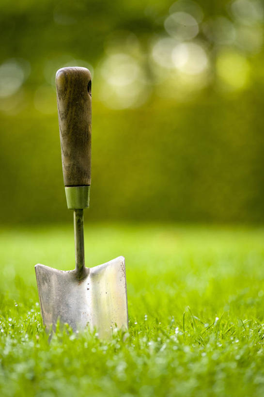 无人,竖图,室外,特写,白天,留白,正面,仰视,草坪,美景,植物,静物,英国,景观,园艺,设备,英格兰,物品,草,一个,自然,景色,摄影,单个,泥刀,自然风光,彩图,低角度拍摄,对焦