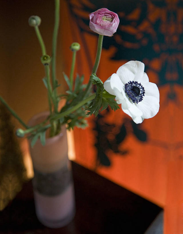 无人,竖图,彩色,室内,白天,首都,现代,英格兰,花,插花,摄影,五颜六色,照亮,色彩斑斓,五彩缤纷,五彩斑斓,式样,五光十色,彩图