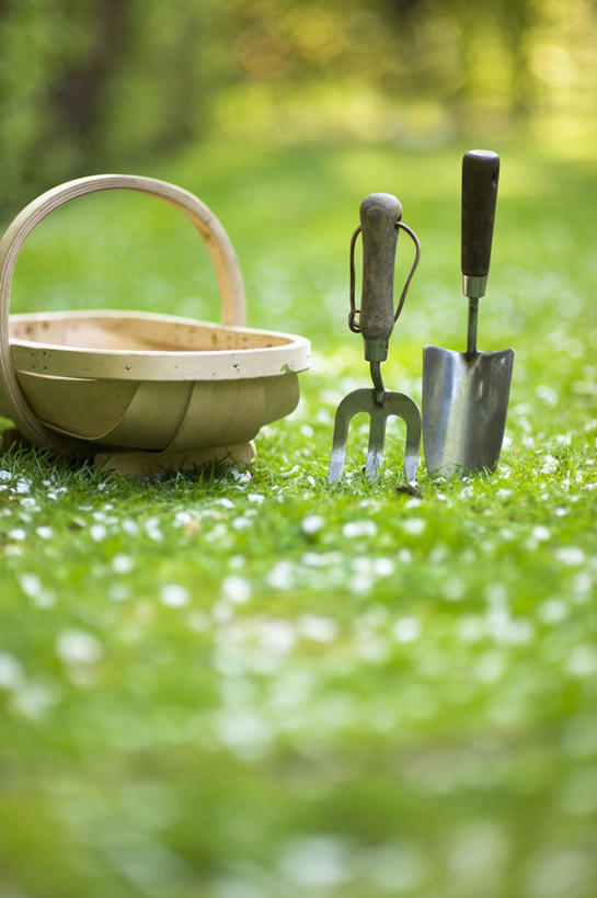 无人,竖图,室外,特写,白天,草坪,美景,植物,静物,金属制品,英国,不锈钢,金属,木制,工具,景观,园艺,设备,物品,草,绿色,自然,春天,景色,摄影,泥刀,耙子,自然风光,农具,耕具,彩图,对焦