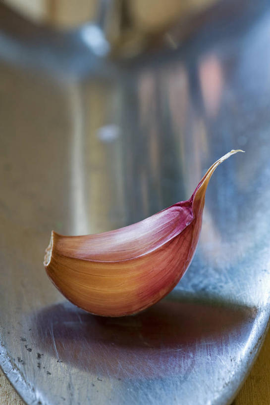 无人,竖图,室外,特写,白天,美景,静物,英国,种植,不锈钢,金属,景观,园艺,食品,设备,饮食,物品,一个,自然,景色,摄影,蒜瓣,单个,泥刀,草本,自然风光,大蒜,彩图