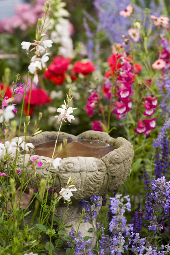 无人,竖图,室外,白天,美景,植物,英国,庭院,池塘,景观,花,自然,夏天,景色,摄影,盆地,自然风光,彩图,多年生植物