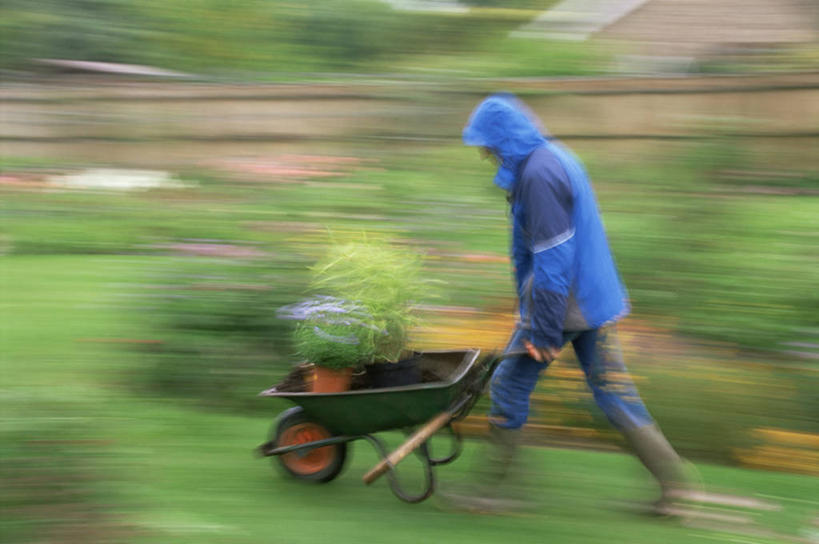 西方人,成年人,一个人,推,横图,室外,白天,运动模糊,雨,欧洲,欧洲人,仅一个男性,园艺,图像,夏天,季节,摄影,种族,主题,雨衣,独轮手推车,构图,防水服,男人,中年男性,白种人,休闲活动,步行,彩图,时空