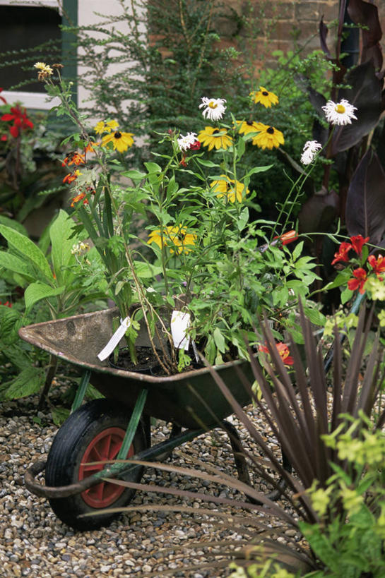 无人,家庭,竖图,室外,白天,植物,园艺,图像,花,夏天,温暖,温馨,一家人,生物,季节,摄影,和睦,主题,独轮手推车,构图,休闲活动,彩图,时空,融洽,家务劳动