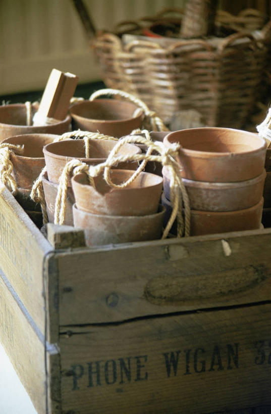 无人,竖图,室内,特写,白天,静物,园艺,图像,摄影,构图,彩图,时空,对焦