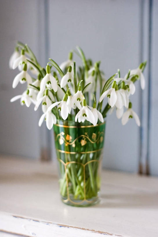 无人,竖图,室内,特写,白天,美景,静物,许多,景观,很多,图像,白色,自然,插花,花束,概念,景色,摄影,焦点,自然风光,主题,雪花莲,构图,彩图,时空,百合科