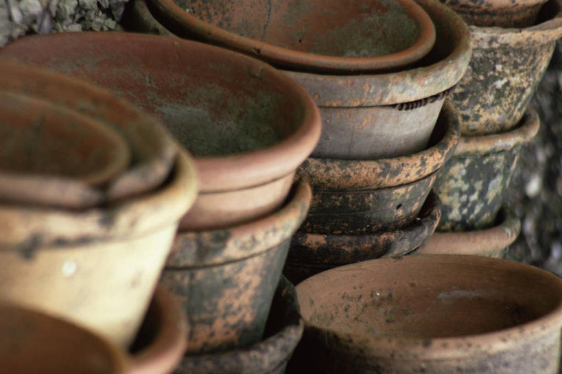 无人,横图,室外,特写,白天,静物,许多,园艺,很多,图像,陶器,摄影,构图,彩图,时空,对焦