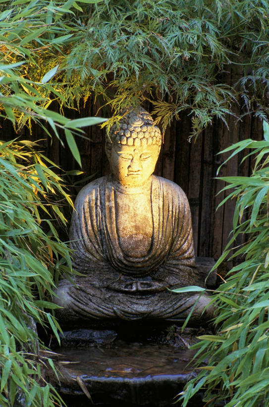 东方人,无人,竖图,室外,特写,白天,美景,植物,雕塑,景观,园艺,佛,自然,景色,摄影,宁静,自然风光,代表,彩图,禅宗