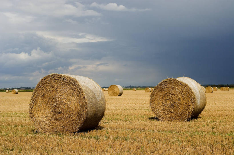 无人,横图,室外,白天,农业,美景,景观,干草,英格兰,自然,草垛,景色,摄影,收获,自然风光,干草垛,彩图